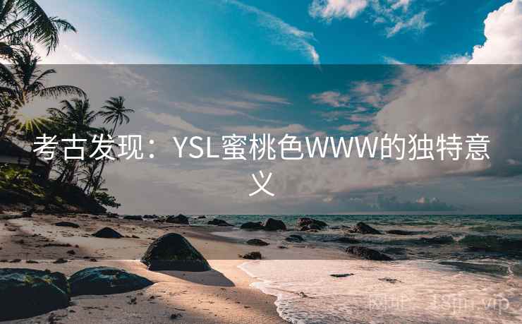 考古发现：YSL蜜桃色WWW的独特意义