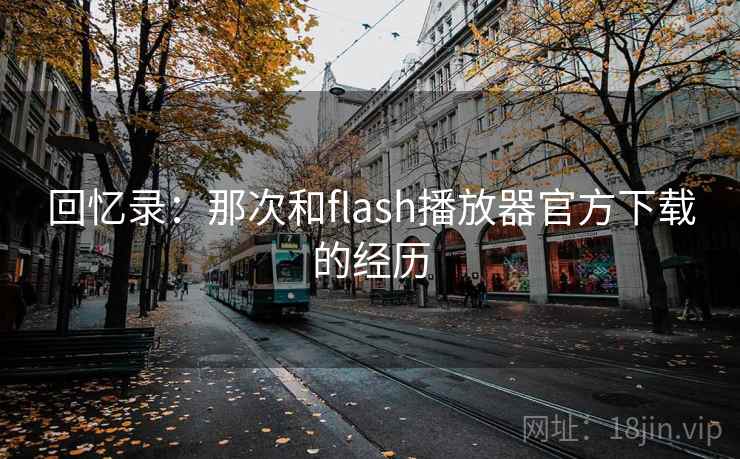 回忆录:那次和flash播放器官方下载的经历 第1张 回忆录:那次和flash播放器官方下载的经历 第1张