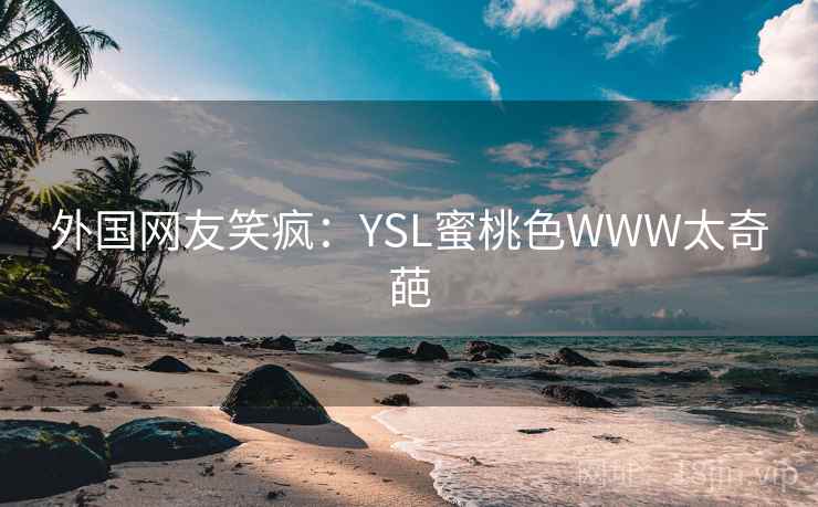 外国网友笑疯:YSL蜜桃色WWW太奇葩 第2张 外国网友笑疯:YSL蜜桃色WWW太奇葩 第2张